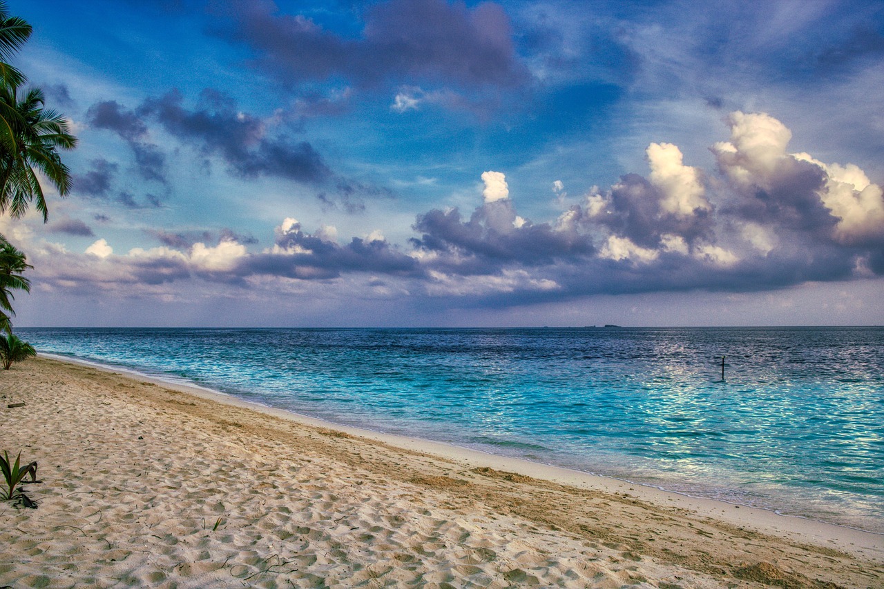 1 Woche Malediven - strand, küste, meer, sand, horizont, ozean, bucht, wasser, palme, seestück, inse