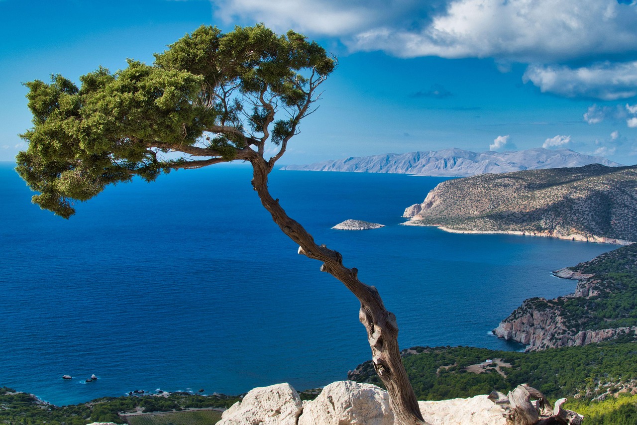 2 Wochen Rhodos - meer, küste, rhodos, baum, hügel, berge, strand, ozean, landschaft, szenisch, mo